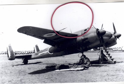 Repro photo foto flugzeug - foto,